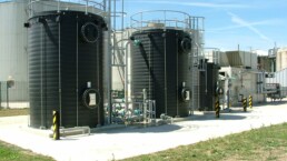 Caged vertical access ladder and maintenance platform fixed to an industrial tank